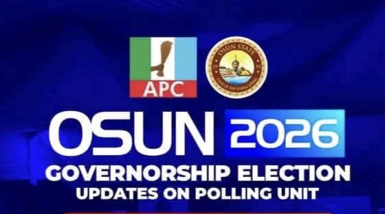 Osun Poll: Early Results Emerge as Vote Counting Begins