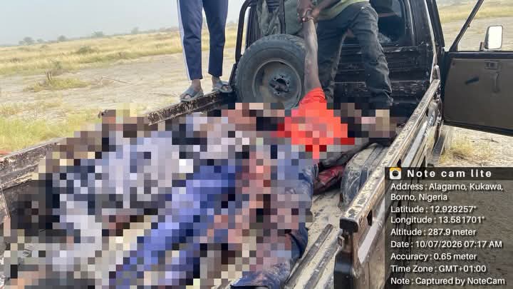 Troops Crush ISWAP Attack in Borno