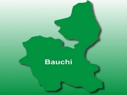 Bauchi Cracks Down on Underage Marriage Scheme