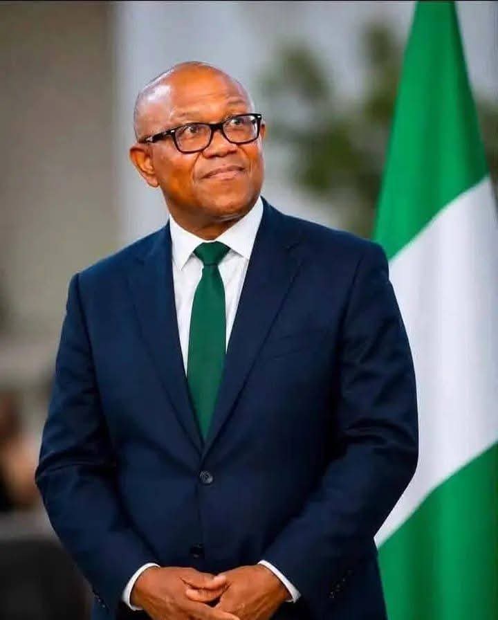 NDC Backs Peter Obi to Lead Opposition Coalition for 2027
