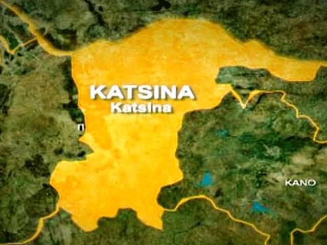 Katsina Uncovers Fresh Lead in Ex-Defence Spokesman’s Kidnap