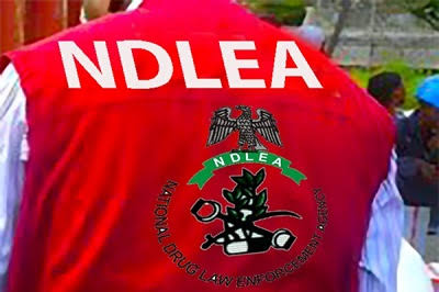 NDLEA Raids Oyo Forest Drug Lab, Arrests Mexican, Four Others