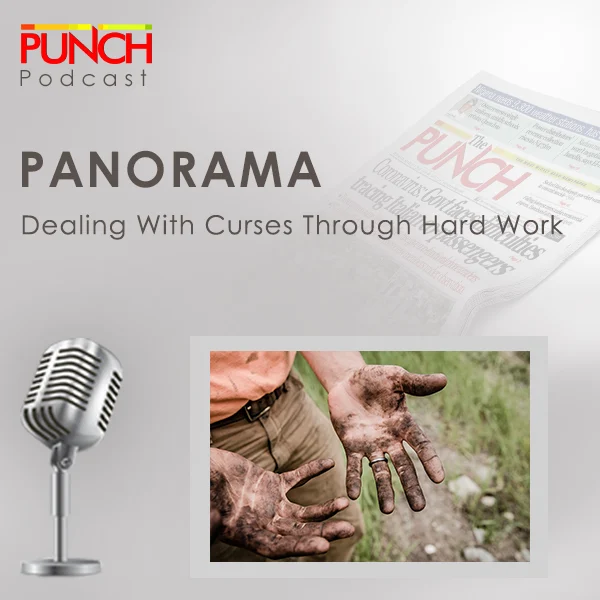 PUNCH Panorama: Dealing with curses through hard work