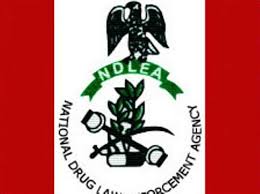 Cannabis Tops Illicit Drug Use in Nigeria &mdash; NDLEA Boss