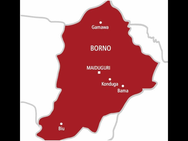 Boko Haram Torches Schools in Borno