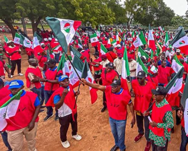 NLC Begins Indefinite Strike in FCT