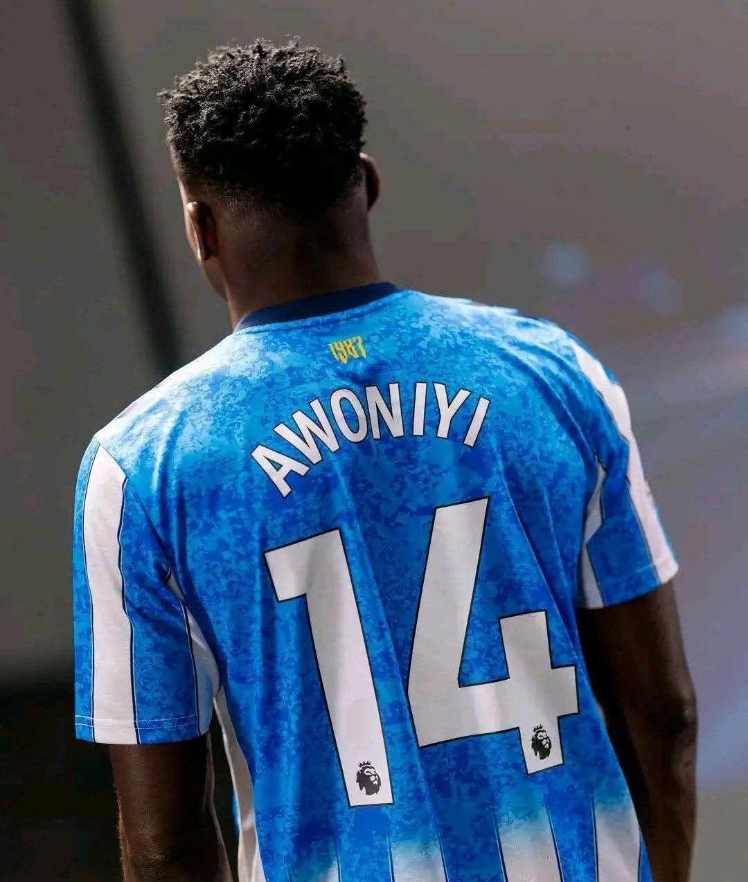 Awoniyi Bags Postgraduate Diploma