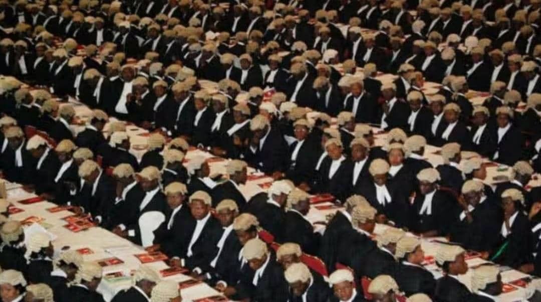 LPPC Elevates 68 Lawyers, One Academic to SAN