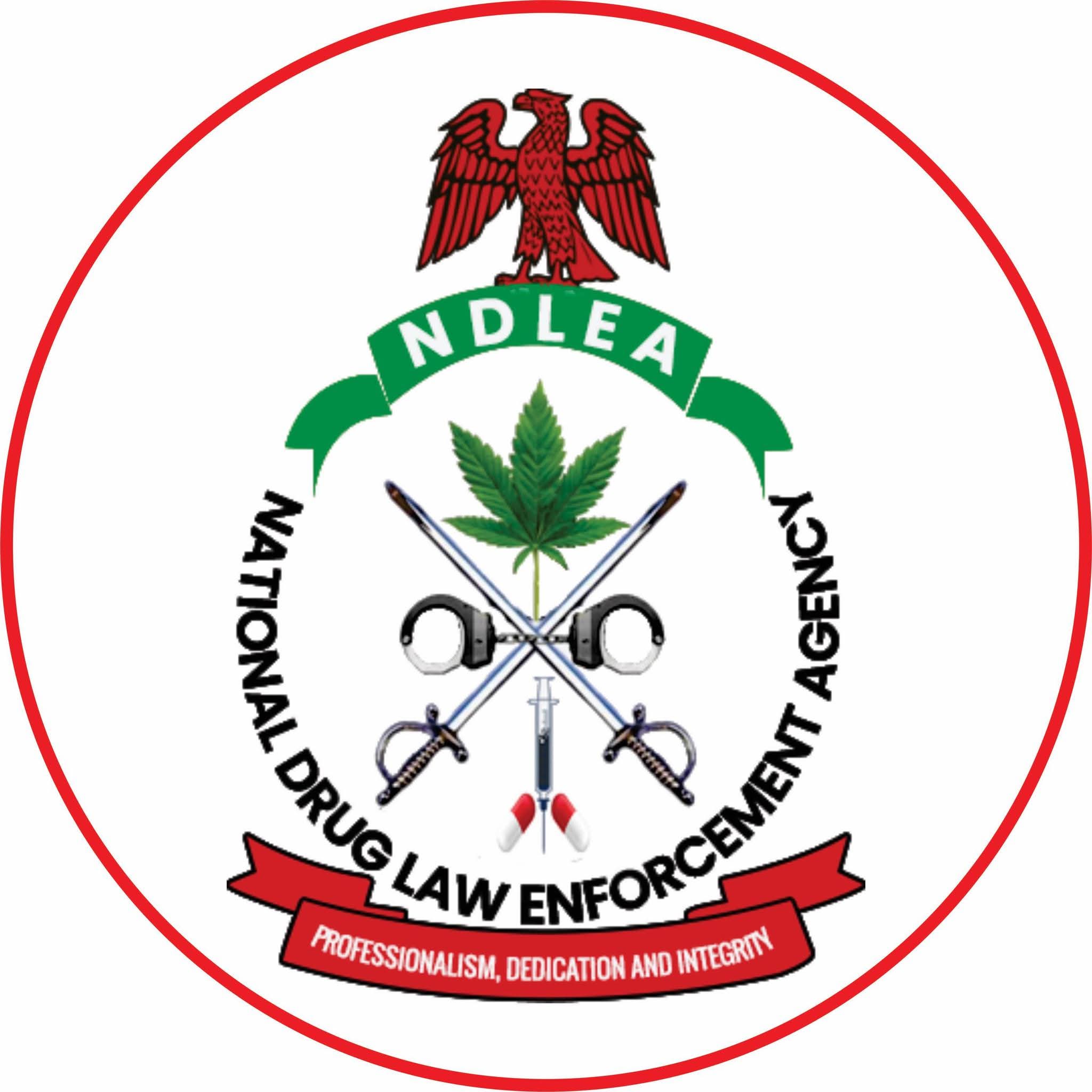 NDLEA Raises Alarm Over Mexican Cartels' Meth Labs in South-West Forests