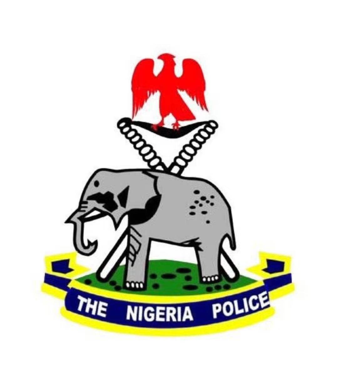 Niger Miners’ Deaths: Police Take Over Scene, Begin Probe