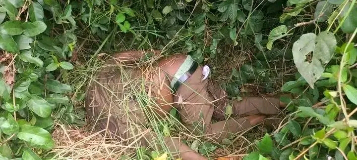 OSPAC Recovers Headless Body of Omoku Youth Federation President in Forest