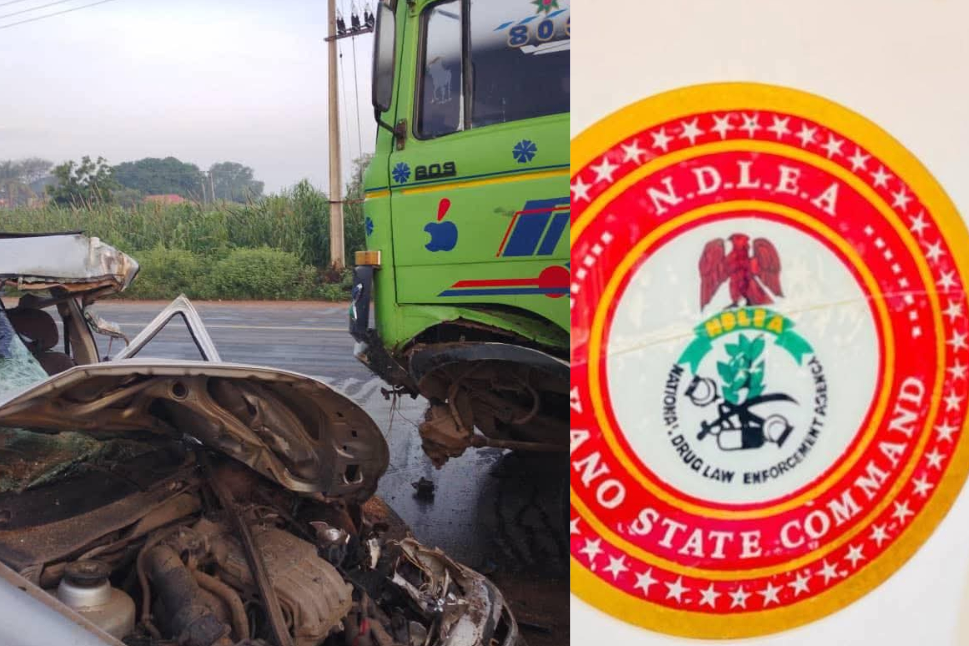 NDLEA Recovers 112kg of Cannabis After Road Accident in Kano